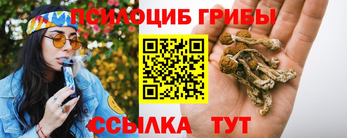 Крымск  Галлюциногенные грибы GOLDEN TEACHER  Галлюциногенные грибы мухоморы  Вход с VPN 